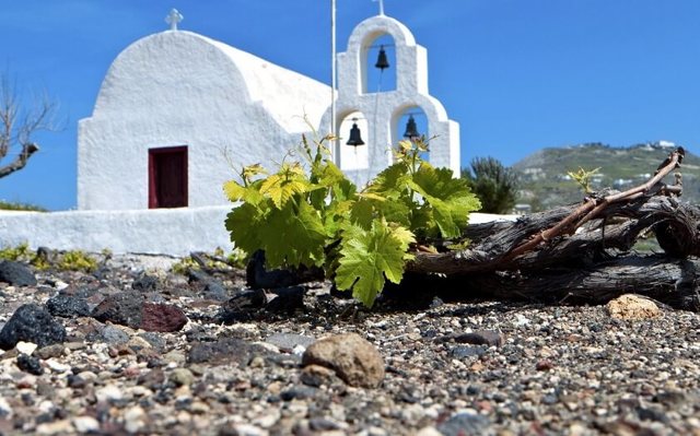 Вино Мавродафни: характеристики, история, культура пития