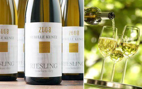 Вино Рислинг – особенности, виды, правила подачи, история
