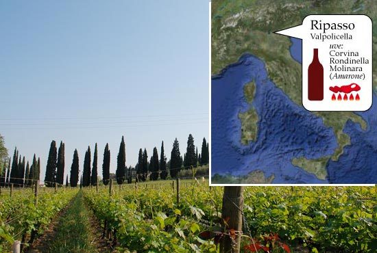 Вино Вальполичелла: особенности, виды и культура пития