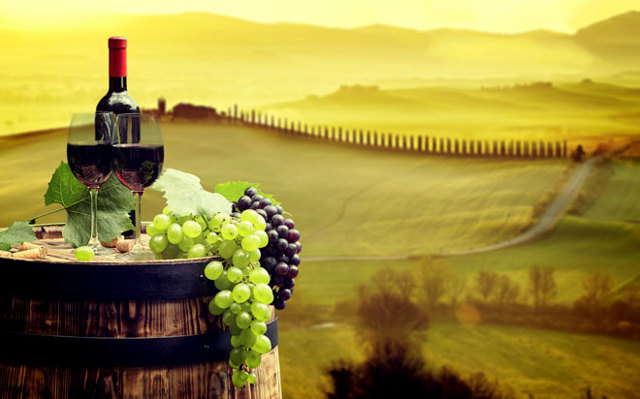 Емкости для длительного хранения домашнего вина