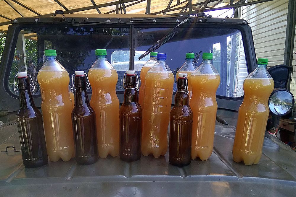 Брага для питья в бутылках