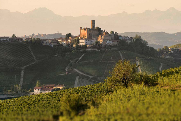 Вино Барбареско: особенности, известные марки, культура пития