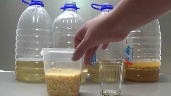 горох в алкоголе